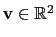 $ \mathbf{v}\in\mathbb{R}^2$