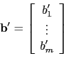\begin{displaymath}\mathbf{b'}=\left[
\begin{array}{c}
b_1' \\
\vdots \\
b_m' \\
\end{array}\right]\end{displaymath}