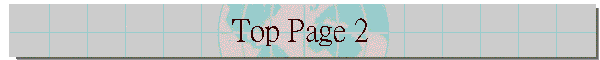Top Page 2