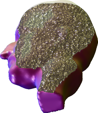 Original tetrahedral mesh example
